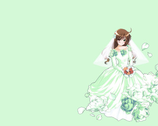 Wedding dress flower veil green - a woman in a wedding dress free wallpaper