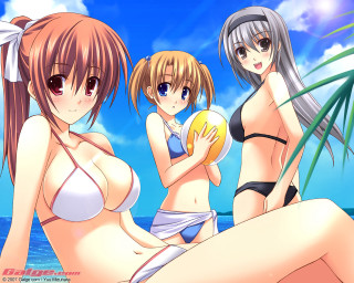 Three anime girls beach ball - a picture together free wallpaper