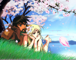 Anime couple blossom lake park - a lake in the background free wallpaper