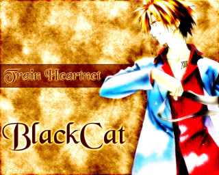 Anime sword gothic black cat - his hand and a caption free wallpaper