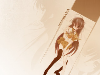 Anime girl cat back shoulder - her back and a cat free wallpaper