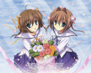 Anime girls flower bouquet blue 2 - above them free wallpaper