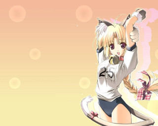 Anime girl cat ears white - a cat ear free wallpaper