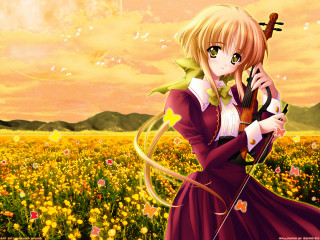 Woman field violin blonde autumn - synthetism free wallpaper