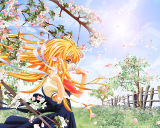 Girl long hair tree flowers - anime visual free wallpaper