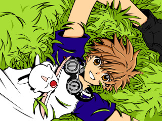 Boy grass camera cat anime - a camera free wallpaper