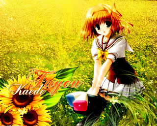 Girl bike sunflowers tokyo album - kyoto animation free wallpaper