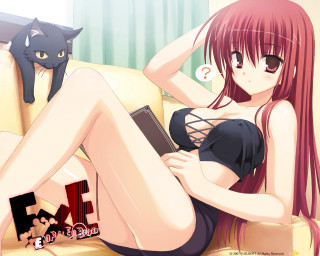 Black bikini woman cat wall - a black bikini free wallpaper