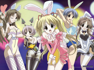 Anime bunny girls leotard moon - a group of anime girls free wallpaper