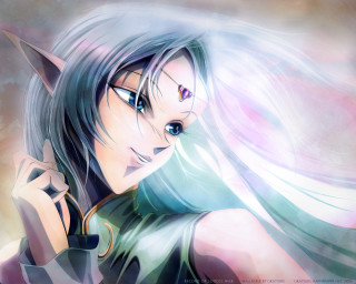 Anime elf sword longhair pinkblue - her head and a sword free wallpaper for desktop