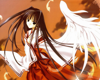 Angel wings red dress orange - white wing free wallpaper