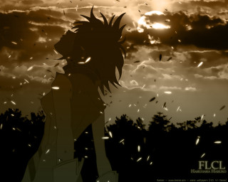 Silhouette sunset birds feathers clouds - a silhouette of a person free wallpaper