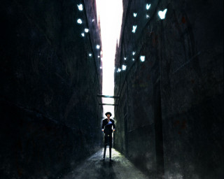 Alleyway man shadow falling petals - a narrow alley way free wallpaper