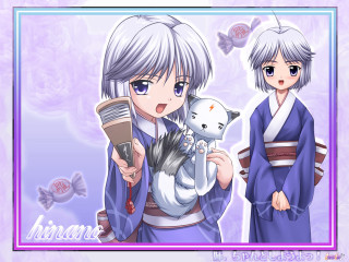 Anime girls cat butterflies kimono - butterfly free wallpaper