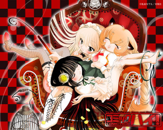 Anime girls hug birdcage argyle - a couple of anime girls free wallpaper