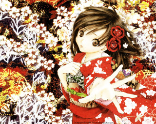 Red dress girl flower autumn - a red flower free wallpaper