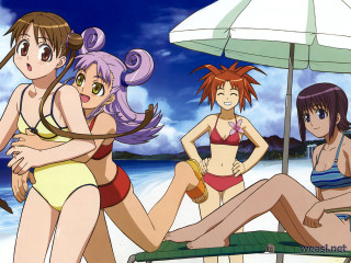 Three girls beach bathing suits 2 - three girl free wallpaper