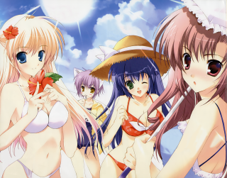 Sky beach girls hats bikinis - a group of women free wallpaper for desktop