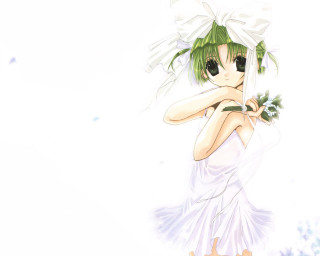 Girl white dress flower smile - a white dress holding free wallpaper