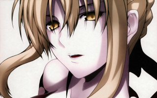 Blonde gothic yandere saber portrait - brown eye free wallpaper