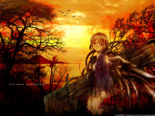 Anime girl long hair bird 2 - over her shoulder free wallpaper