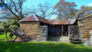 Building wheel bench grassy area - a grassy area free wallpaper