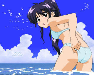 Woman ocean bird bikini anime - the ocean free wallpaper