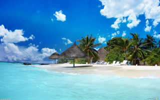 Beach palm trees lounge chairs - cedric seaut free wallpaper for desktop