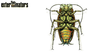 Bug drawing two legs back - an illustration free wallpaper