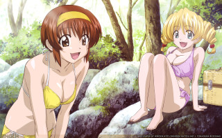 Two women bikinis rocks forest - rock free wallpaper