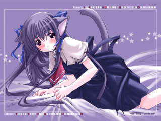 Anime girl bed cat stars - her head and a cat free wallpaper