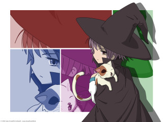 Witch cat dog holding brown - a cat and a dog free wallpaper