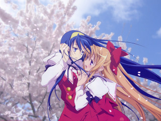 Anime girls cherry blossoms outdoors - bloom free wallpaper for desktop