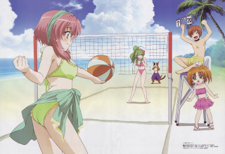 Beach volleyball dog girls summer - free sports wallpaper
