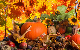 Pumpkins autumn decorations tree leaves - fall vibrancy free wallpaper for desktop