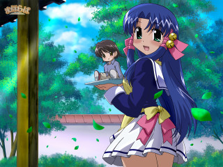 Blue dress girl tray nature - a blue dress holding free wallpaper