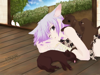 Purple hair woman black dog - a black dog free wallpaper