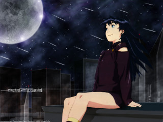 City skyline fullmoon starry night 2 - a ledge in front free wallpaper