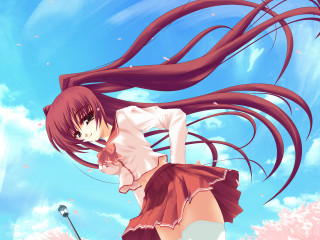Girl long hair wind cherry - flowing free wallpaper