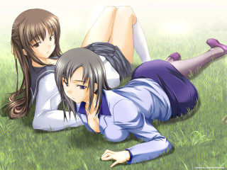 Anime girls grass crossed legs - their leg free wallpaper
