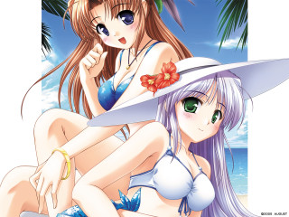 Anime girls beach hibiscus sunny - long hair and a hat free wallpaper
