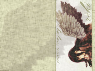 Bird wings white background green - free bird wallpaper