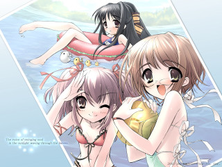 Three anime girls beach bathing - suit free wallpaper for desktop