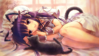 Gothic anime girl bed cat - a cat free wallpaper