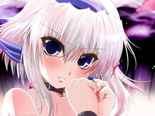 White haired girl blue eyes - her chin free wallpaper
