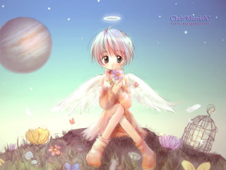 Girl bird cage angel moon - a rock free wallpaper for desktop
