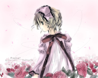 Girl dress roses bow field - rose free wallpaper for desktop