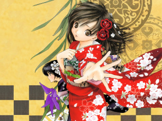 Woman kimono flower vase argyle - a vase of flowers free wallpaper