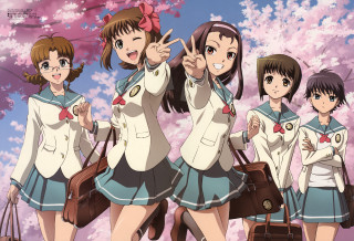 Girls schooluniform cherryblossoms anime braids - a group of girls free wallpaper for desktop