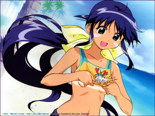 Cartoon girl large breast long - a piece of food free wallpaper